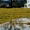 flooded-yard-from-plumbing-damage