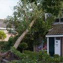 fallen-tree-leaning-against-house-post-hurricane